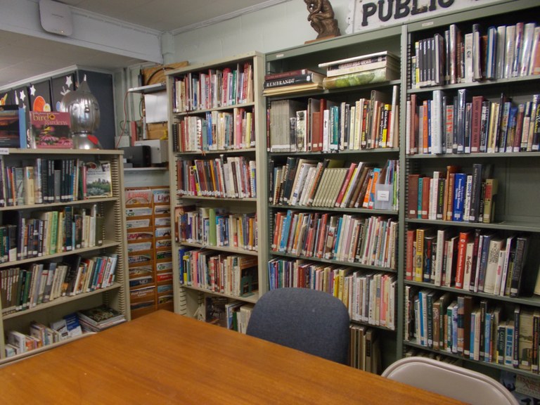 picture of the adult part of library